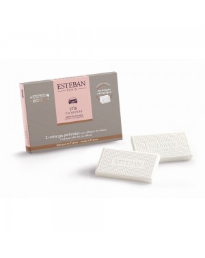 Recharge pour diffuseur de...