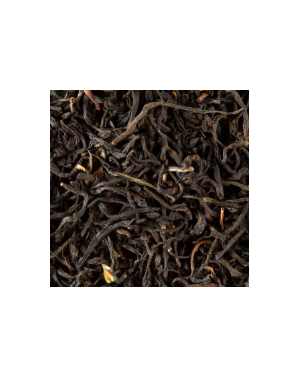 FV - Thé Hoja Caoba -...