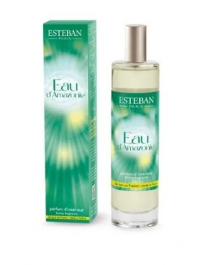 Vaporisateur d'ambiance Eau...