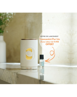 Diffuseur brume de parfum -...