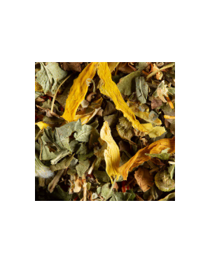 Tisane Fruits Exotiques -...