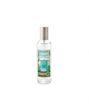 Vaporisateur d'ambiance Eau...