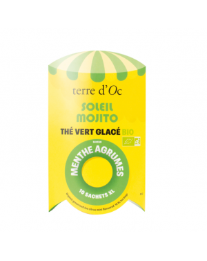 10 Infusettes XL Thé vert...
