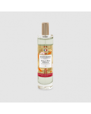 VAPORISATEUR 75ML THE ET...