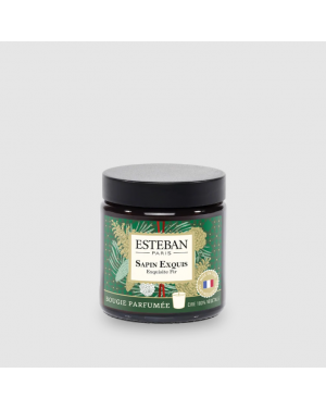 BOUGIE POMMADIER 90G SAPIN...