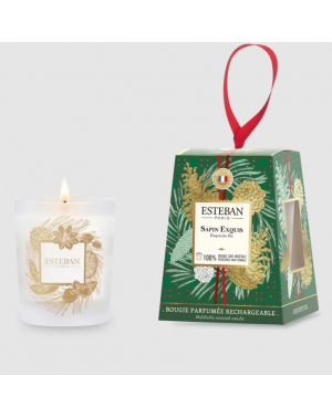 BOUGIE PARFUMEE 180G SAPIN...
