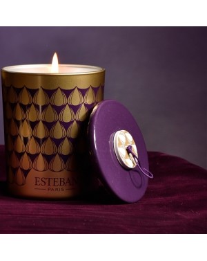 Bougie déco parfumée rechargeable Figue noire - Esteban