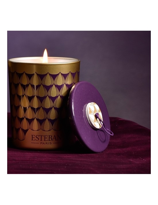 Bougie déco parfumée rechargeable Figue noire - Esteban