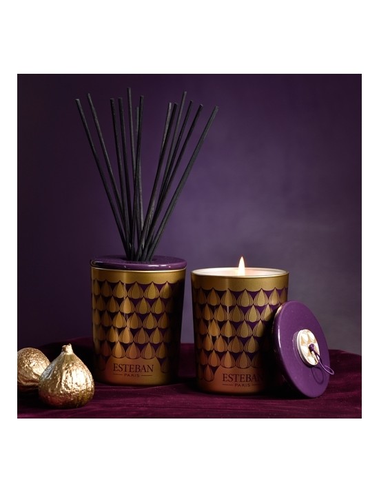 Bouquet parfumé décoratif Figue noire - Esteban