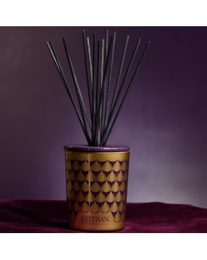 Bouquet parfumé décoratif Figue noire - Esteban