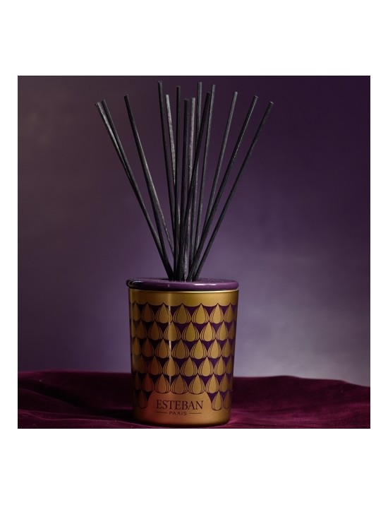 Bouquet parfumé décoratif Figue noire - Esteban