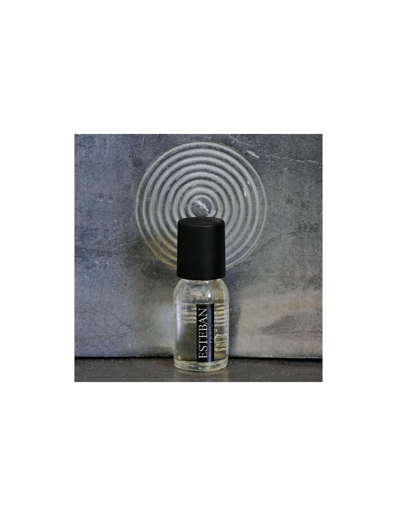 Concentré de parfum d'ambiance Rêve blanc - Esteban