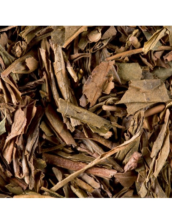 Thé Houjicha - Dammann frères