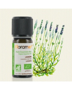 Lavandin huile essentielle (lavandula hybrida) bio - Florame
