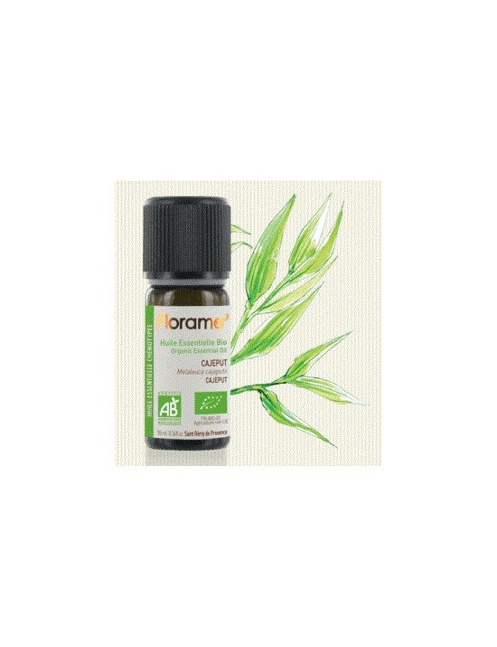 Huile essentielle cajeput bio (melaleuca cajuputi)