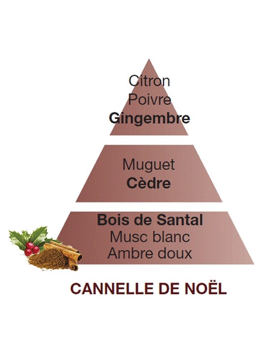 Parfum de maison Cannelle de Noël - Lampe Berger