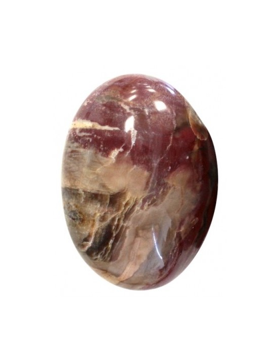 Bois silicifié en galet 