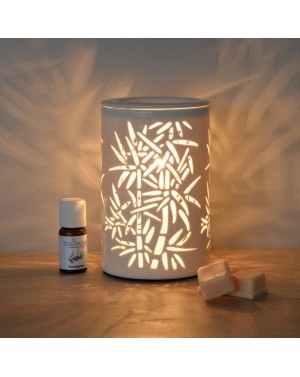 Diffuseur de parfum par chaleur douce Calorya5