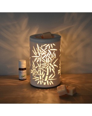 Diffuseur de parfum par chaleur douce Calorya5