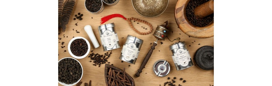 Epices du monde avec Terre Exotique